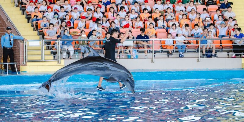 New tourism products in Da Nang